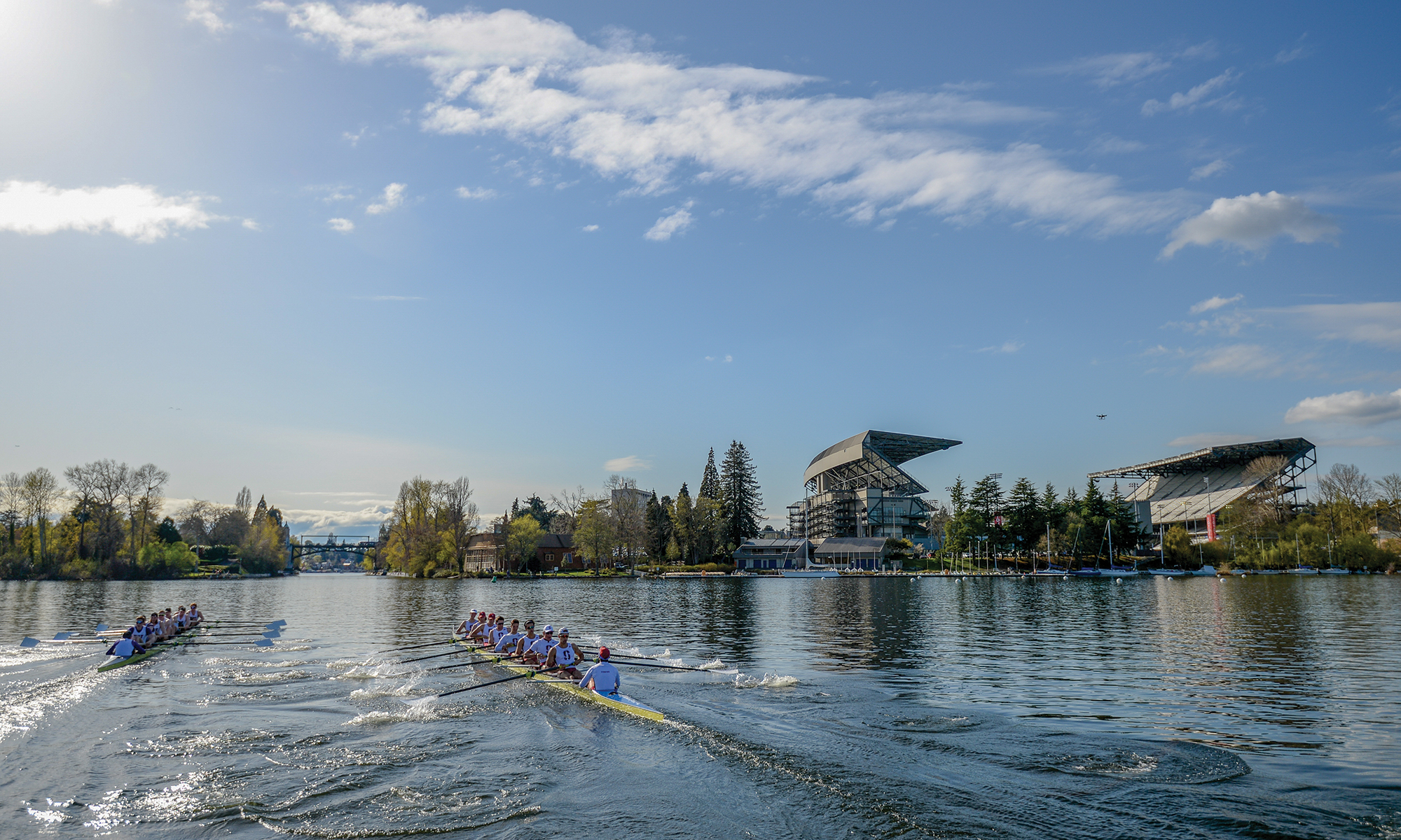 University Of Washington Rowing - Official Website Of Husky Crew